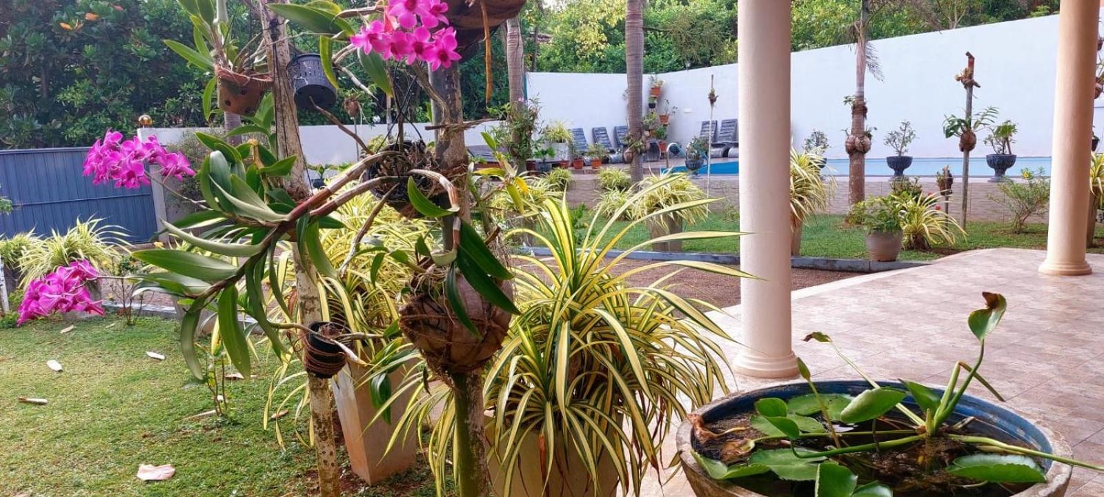 Turtle Paradise Villa 코스고다 외부 사진